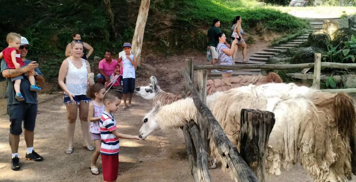 Visita à fábrica