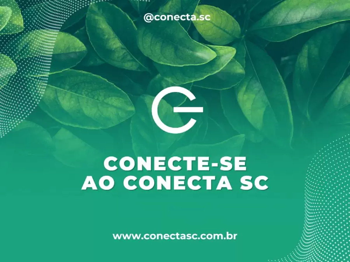 Portal Conecta SC se destaca como um dos principais portais de Notícias SC